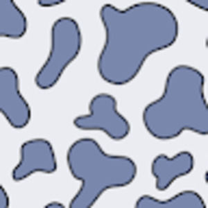 Meet your Posher, Anna beth